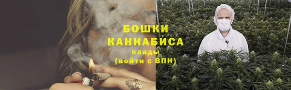 ешки Бородино