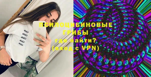 ешки Бородино