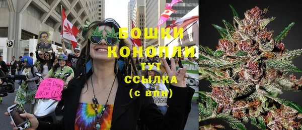 ешки Бородино