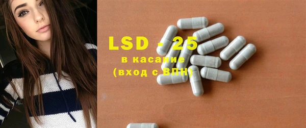 ешки Бородино