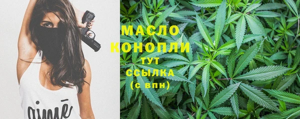 ешки Бородино
