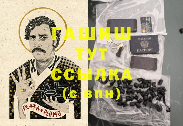 ешки Бородино