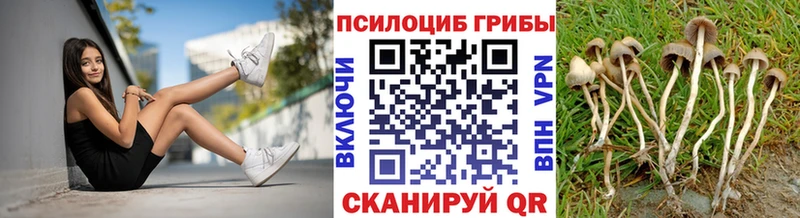 Купить Лянтор Галлюциногенные грибы MAGIC MUSHROOMS